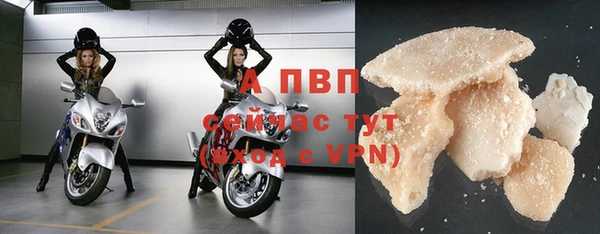 ГАЛЛЮЦИНОГЕННЫЕ ГРИБЫ Бородино