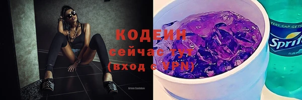 ГАЛЛЮЦИНОГЕННЫЕ ГРИБЫ Бородино