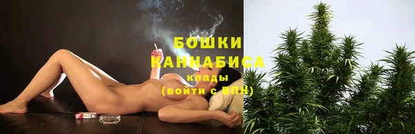 ГАЛЛЮЦИНОГЕННЫЕ ГРИБЫ Бородино