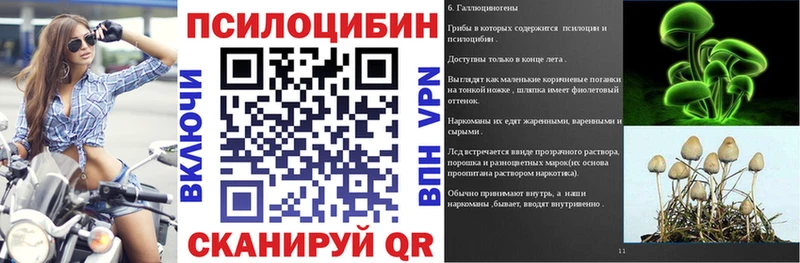 Псилоцибиновые грибы ЛСД  Старица 