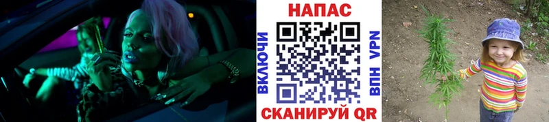 где купить   мега   Шишки марихуана гибрид  Старица 